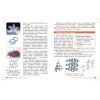 Учебник НУШ Хімія. 8 клас - О.В. Григорович, О. Недоруб Ранок (9786170995926) изображение 10