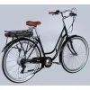 Електровелосипед Dorozhnik 28" eRETRO Vbr FR рама-19" 36B 13А*г 500Вт 2026 чорний (ELB-D-28-113) зображення 3