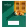 Тетрадь Школярик Star Summer Vibes 48 листов линия (048-3621L)