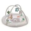 Детский коврик Kinderkraft Cozyplay (5902533926930)