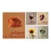 Зошит Yes Floral Harmony А5 48 аркушів клітинка (768610)