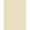 Бумага Mondi IQ color А4 pale, 80g 500sheets, vanilla (A4.80.IQP.BE66.500) изображение 2