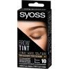 Краска для бровей Syoss Brow Tint 4-1 Темно-каштановый 17 мл (4015100327724)