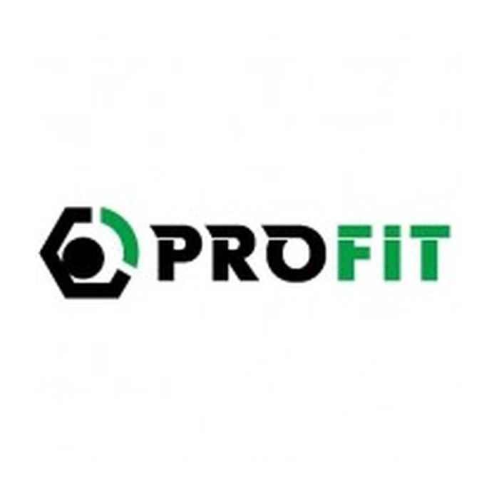 Повітряний фільтр для автомобіля Profit 1512-4262