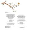 Книга Мала панда Пай - Заскія Гула Vivat (9789669822871) изображение 3