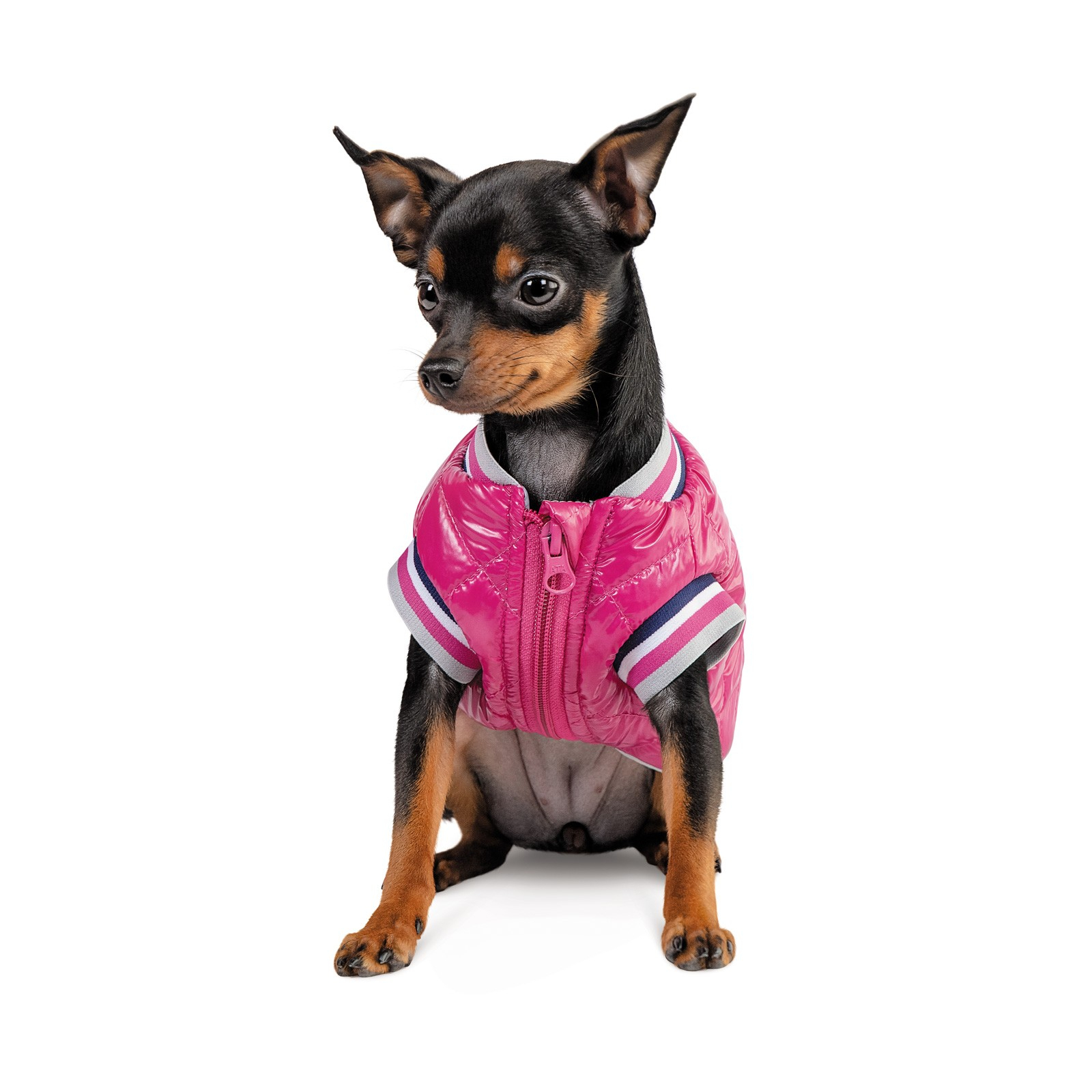 Бомбер для животных Pet Fashion Grace S (4823082430161) изображение 3