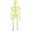 Украшение декоративное YES! Fun Хэллоуин "Скелет", 2 шт/наб, 34см, светящиеся в темноте (974354)