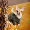 Костюм для животных Pet Fashion ALF S хаки (4823082430000) изображение 4