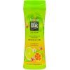 Гель для душу Shik Nectar Silk Foam Фейхоа і лайм 250 г (4820023368866)