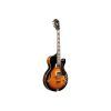 Гитара полуакустическая Ibanez AG75G BS (236145) изображение 3
