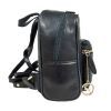Рюкзак туристический Ashwood T87 Black изображение 3
