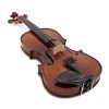 Скрипка Stentor Graduate Violin Outfit 1/2 (1542E) изображение 4