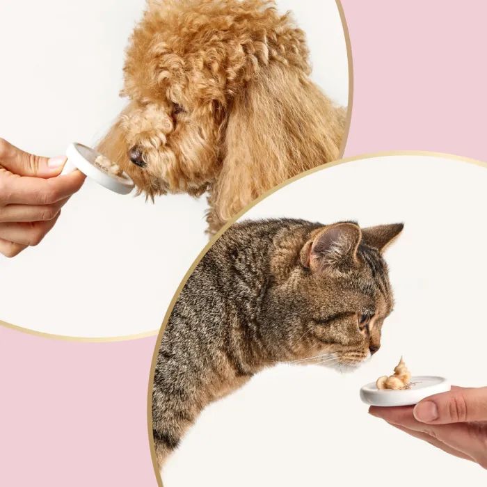 Ласощі для собак Delickcious молоко з сиром 4х15 г (4820269145382) зображення 8