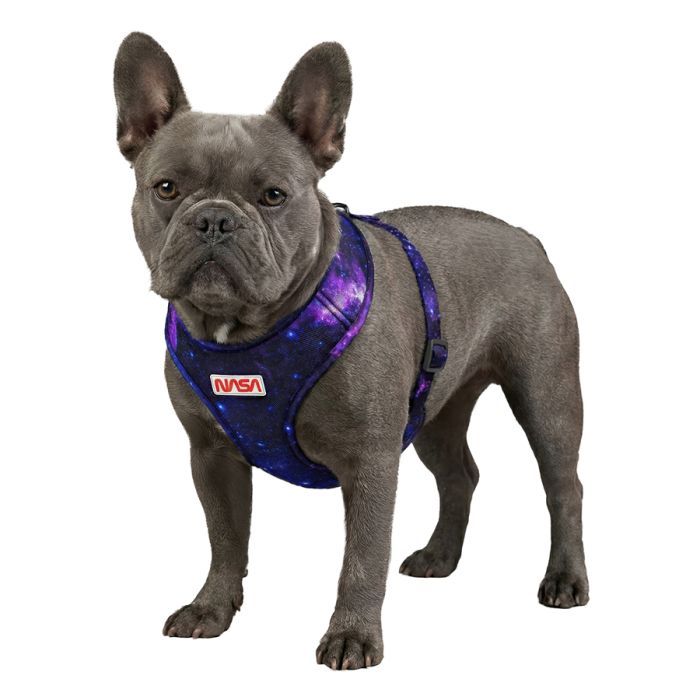 Шлей для собак WAUDOG Mesh дышащая с QR адресником "NASA21" S (233-0148) изображение 4