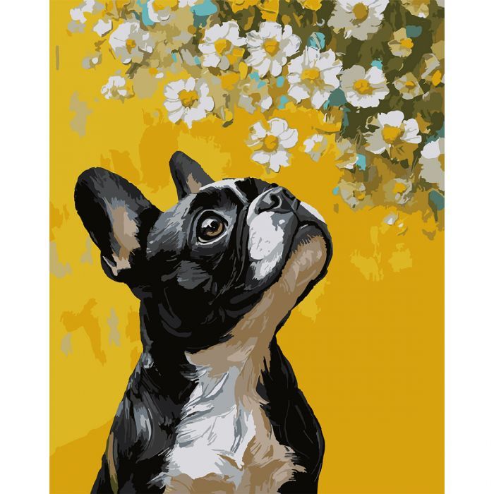 Картина по номерам Santi Бульдог і квіти 40х50 см (955746)