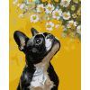 Картина по номерам Santi Бульдог і квіти 40х50 см (955746)