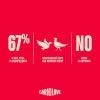Консервы для собак Carnilove Duck & Pheasant 400 г (8595602582853) изображение 4