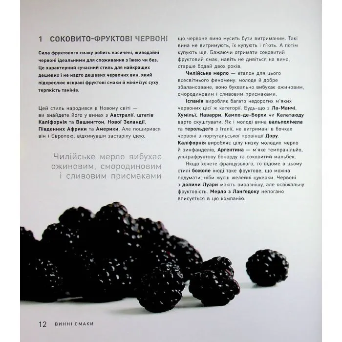 Книга Запрошую на розмову про вино - Оз Кларк Жорж (9786178287863) изображение 8