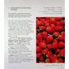 Книга Запрошую на розмову про вино - Оз Кларк Жорж (9786178287863) изображение 9