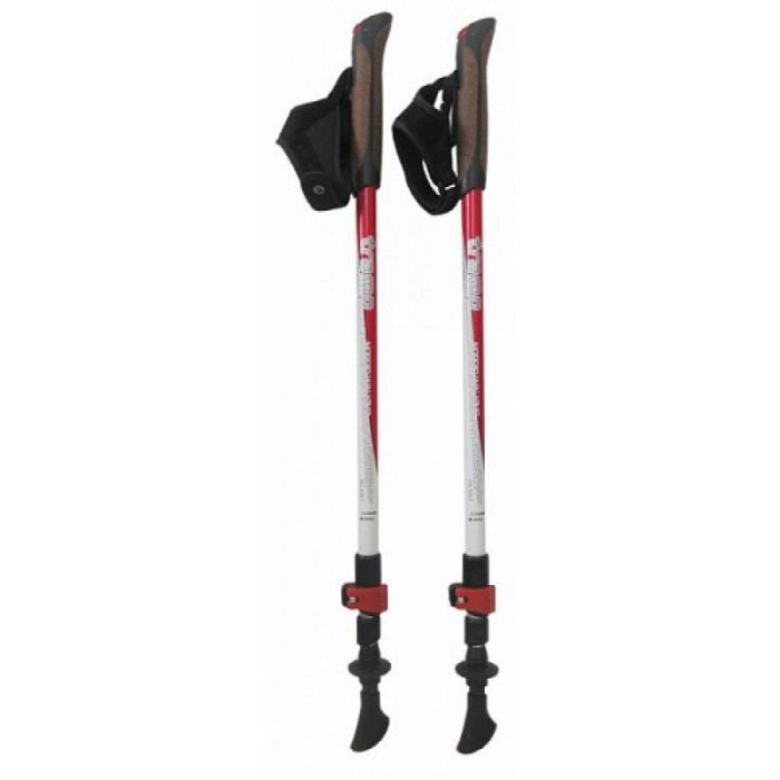 Палки для скандинавской ходьбы Tramp Compact пара (TRR-004) изображение 2