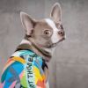 Борцівка для тварин Pet Fashion Cool XS різнобарвна (4823082420162) зображення 5