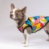 Борцівка для тварин Pet Fashion Cool XS різнобарвна (4823082420162) зображення 6