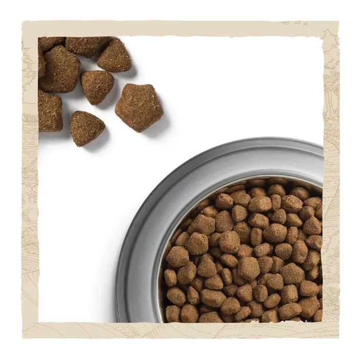 Сухий корм для собак Purina Dog Chow Adult Lamb зі смаком ягняти 2.5 кг (7613034485946) зображення 10