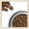 Сухий корм для собак Purina Dog Chow Adult Lamb зі смаком ягняти 2.5 кг (7613034485946) зображення 10