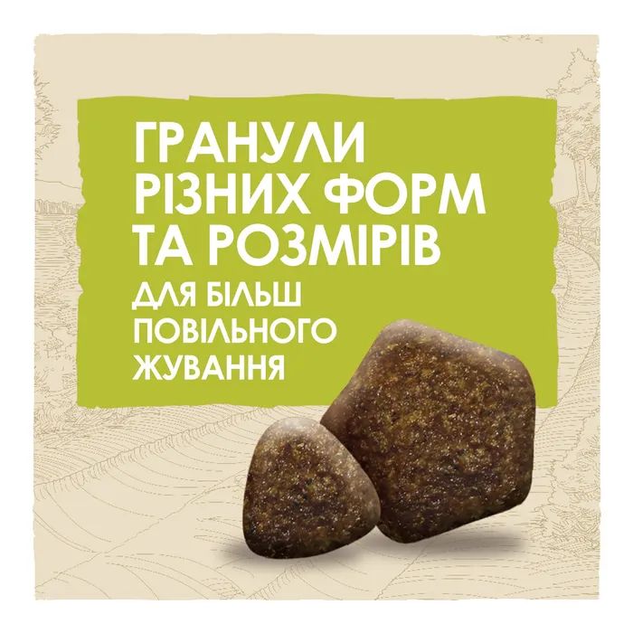 Сухий корм для собак Purina Dog Chow Adult Lamb зі смаком ягняти 2.5 кг (7613034485946) зображення 8