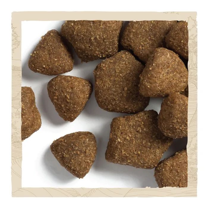 Сухий корм для собак Purina Dog Chow Adult Lamb зі смаком ягняти 2.5 кг (7613034485946) зображення 9