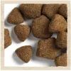 Сухий корм для собак Purina Dog Chow Adult Lamb зі смаком ягняти 2.5 кг (7613034485946) зображення 9