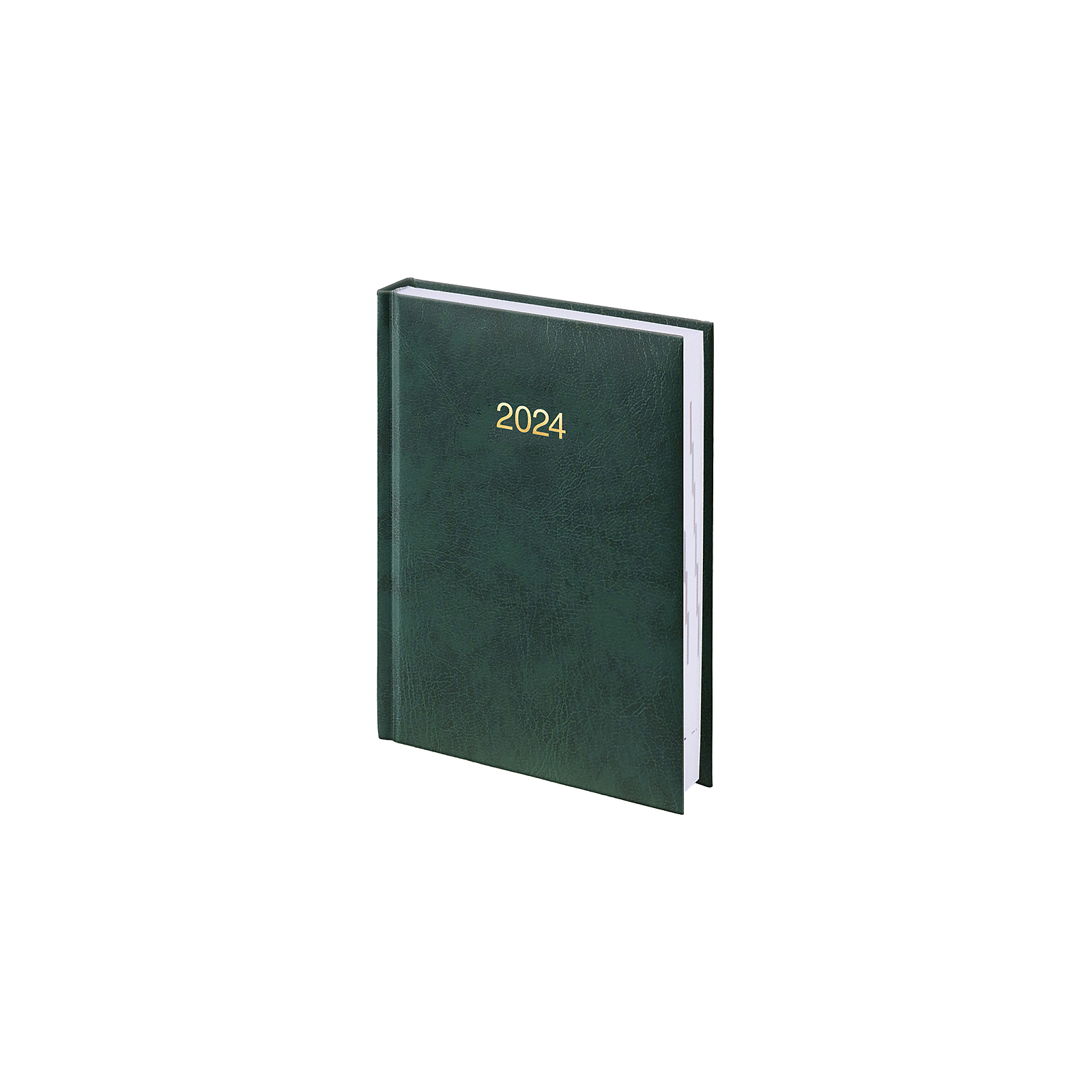 Еженедельник Brunnen датированный 2024 карманный Miradur Зеленый A6 184 листа (73-736 60 504) изображение 2