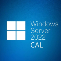 Фото - Програмне забезпечення Microsoft ПЗ для сервера  Windows Server  CAL 5 Device англ, ОЕМ без но  2022