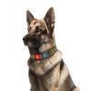 Ошейник для животных WAUDOG Nylon с QR паспортом "Милитари" пластиковый фастекс XXL (284-4026) изображение 3