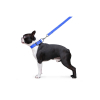 Повідок для собак Dog Extreme з нейлону подвійний Ш 20 мм Д 122 см блакитний (42982) зображення 5