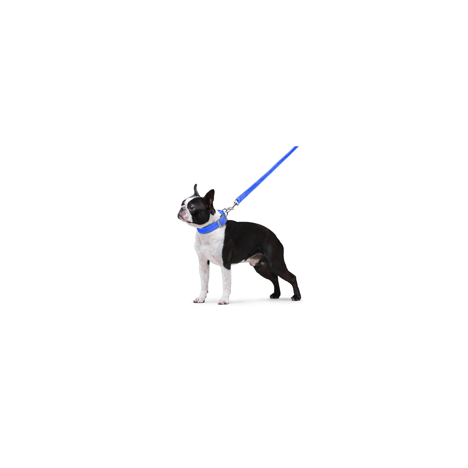 Поводок для собак Dog Extreme из нейлона двойной Ш 20 мм Д 122 см хаки (429831) изображение 6