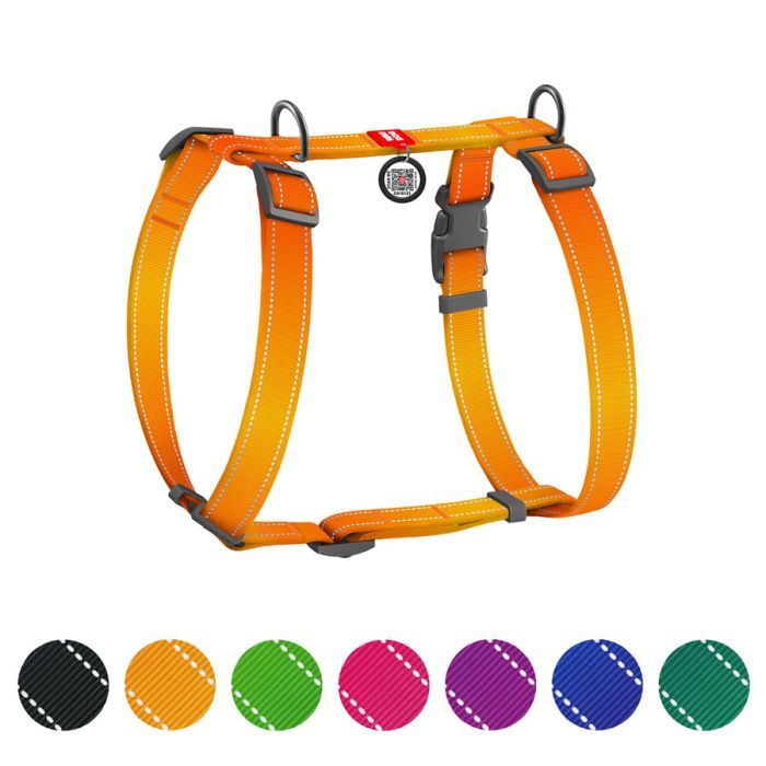 Шлей для собак WAUDOG Nylon Mono с QR-паспортом, пластиковый фастекс L оранжевая (52744)