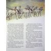 Книга Велика книга про фей і принцес - Пітер Холейнон Vivat (9786171704756) зображення 10