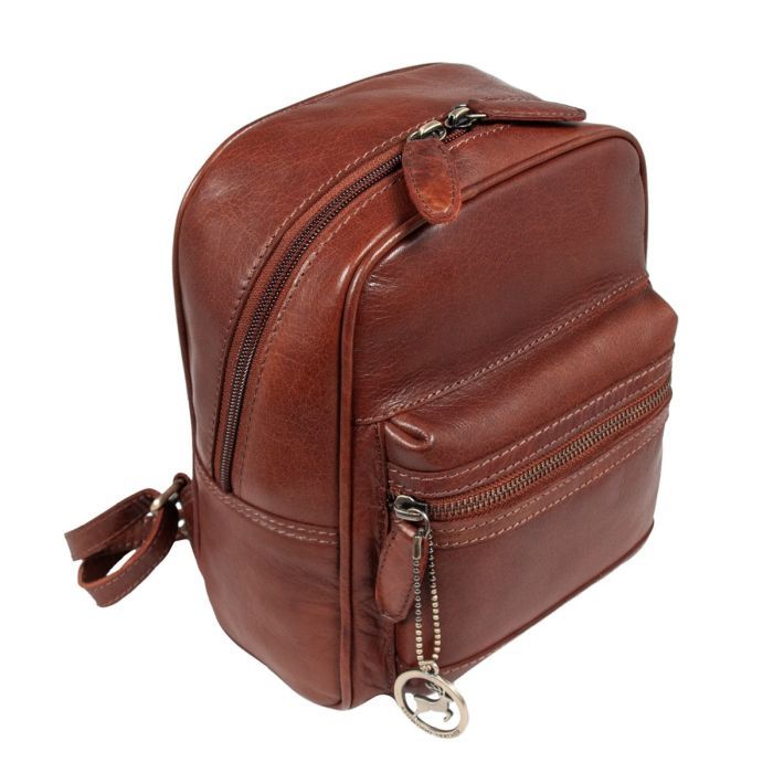 Рюкзак туристичний Ashwood T87 Chestnut зображення 2