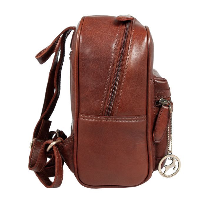 Рюкзак туристичний Ashwood T87 Chestnut зображення 3