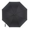 Парасоля Fulton Mayfair-1 G894 - Black (G894-037584) зображення 5