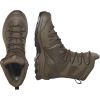 Черевики Salomon Quest 4D Forces 2 High GTX Earth 10 (L47234100-10) зображення 5