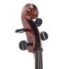 Віолончель Stentor Student II Cello Outfit 1/2 (1108E) зображення 5