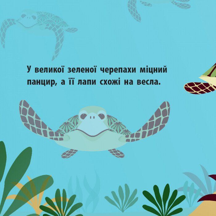 Книга Морський народ - Мадлєн Роджерс Ранок (9789667490102) зображення 5