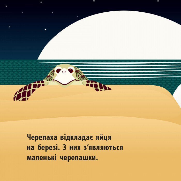 Книга Морський народ - Мадлєн Роджерс Ранок (9789667490102) зображення 6