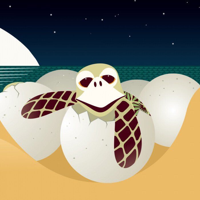 Книга Морський народ - Мадлєн Роджерс Ранок (9789667490102) зображення 8