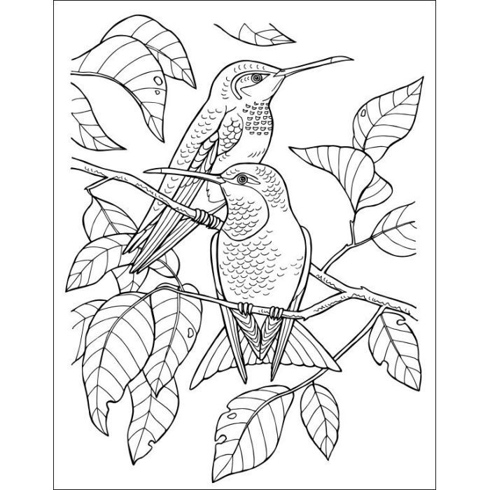 Книга Дівчатка та квіти. Велика книга розмальовок Ранок (2812810004219) зображення 3