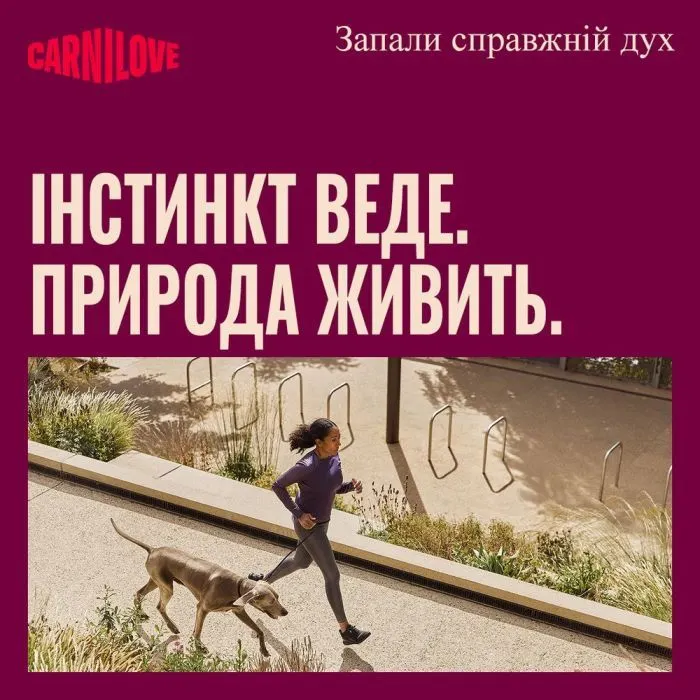 Консерви для собак Carnilove Lamb & Wild Boar 400 г (8595602582822) зображення 5