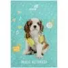 Тетрадь Kite для нот Studio Pets A4, 20 листов (SP26-404)