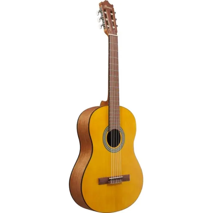 Гитара классическая Ibanez GA3-OAM (236053) изображение 3